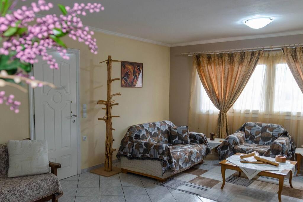 Dimitri'S Mountain House Διαμέρισμα Καρπενήσι Εξωτερικό φωτογραφία