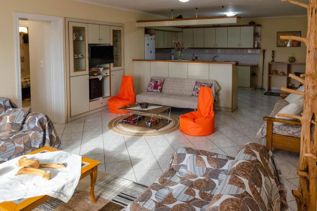 Dimitri'S Mountain House Διαμέρισμα Καρπενήσι Εξωτερικό φωτογραφία