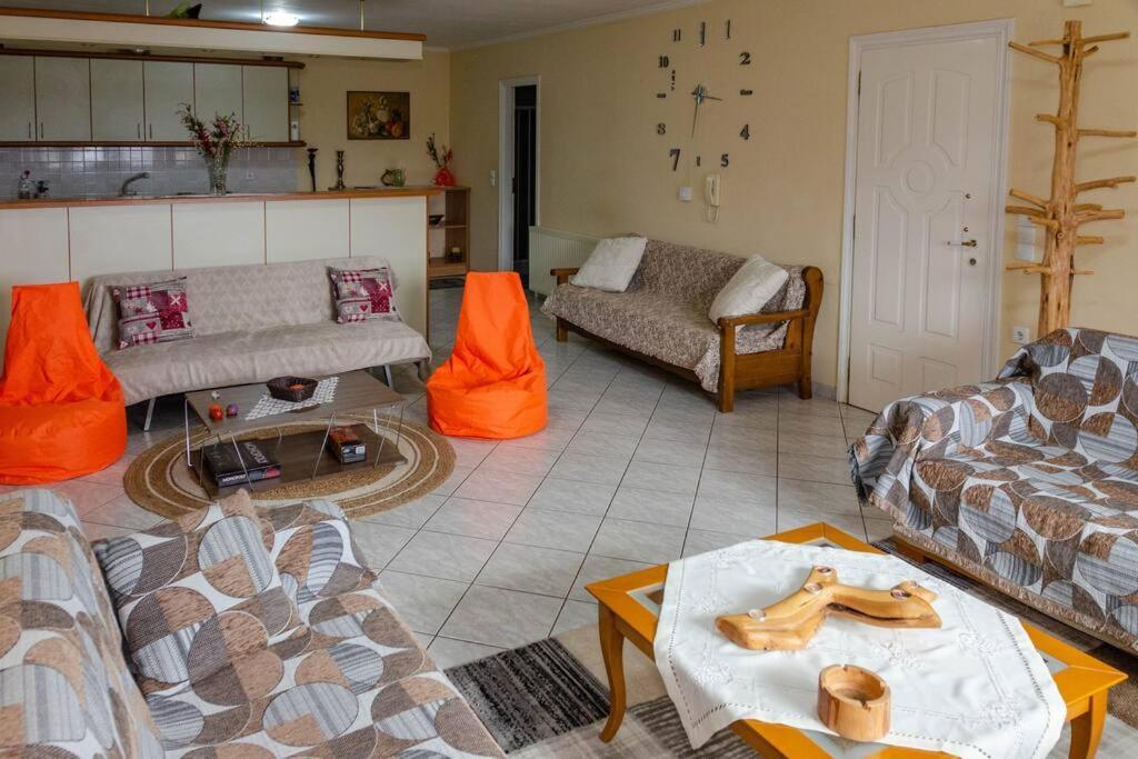 Dimitri'S Mountain House Διαμέρισμα Καρπενήσι Εξωτερικό φωτογραφία