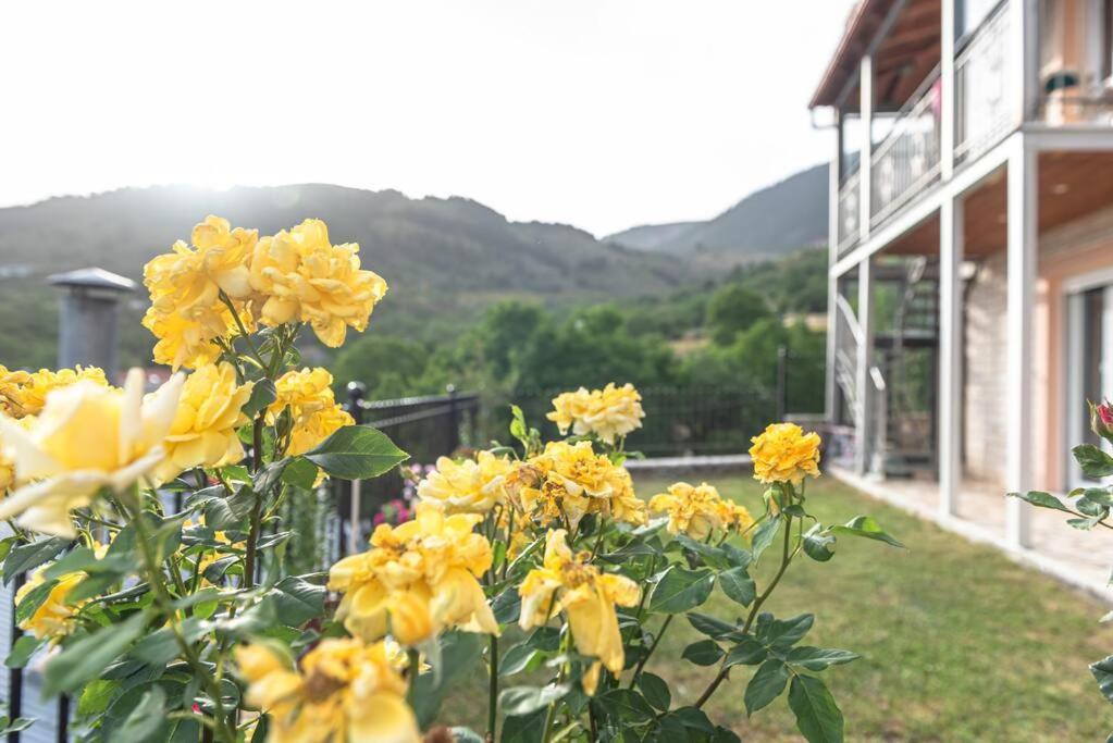 Dimitri'S Mountain House Διαμέρισμα Καρπενήσι Εξωτερικό φωτογραφία