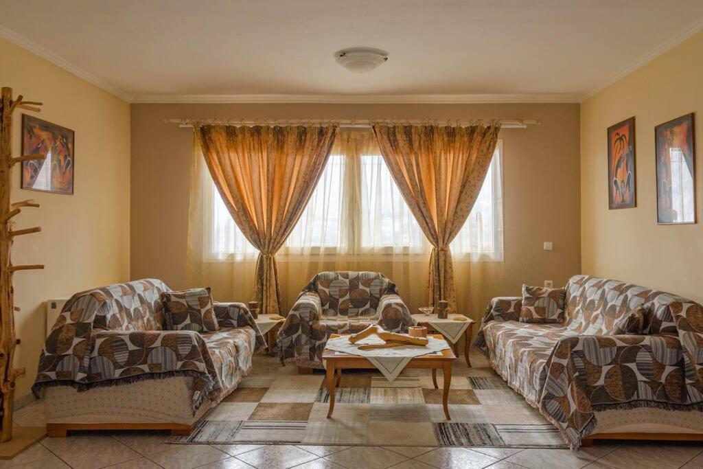 Dimitri'S Mountain House Διαμέρισμα Καρπενήσι Εξωτερικό φωτογραφία